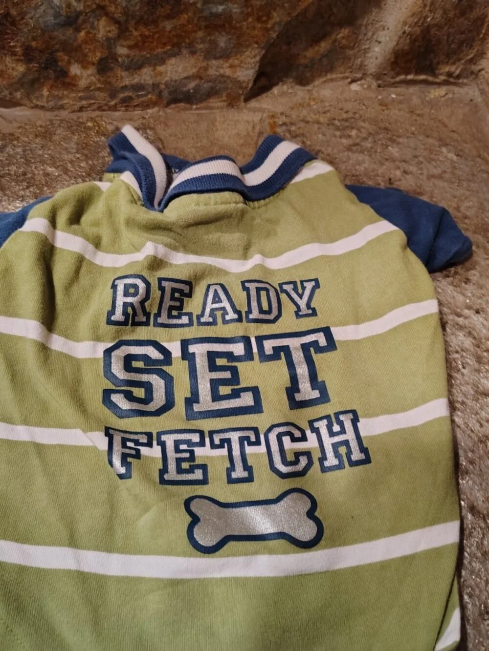Martha Stewart Pets Dog Polo Size Medium Ready Set Fetch